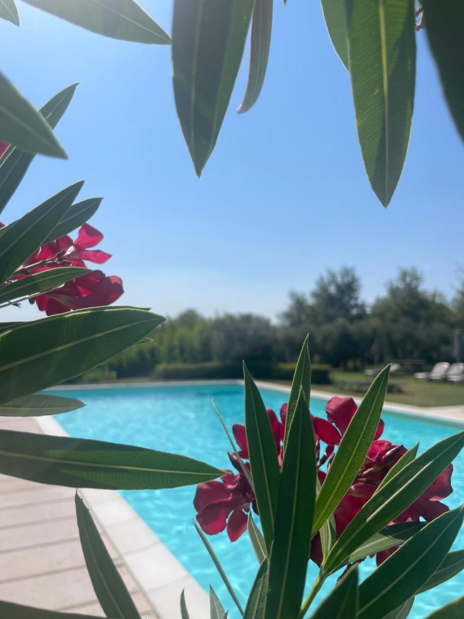 Agriturismo Antica Dimora Del Turco Sona Eksteriør bilde