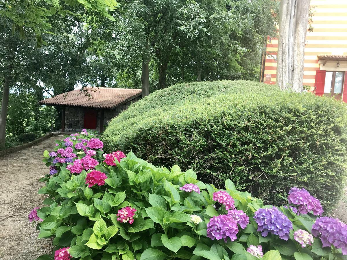Agriturismo Antica Dimora Del Turco Sona Eksteriør bilde